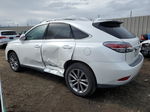 2015 Lexus Rx 350 Белый vin: JTJZK1BA6F2422586