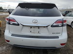 2015 Lexus Rx 350 Белый vin: JTJZK1BA6F2422586