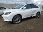 2015 Lexus Rx 350 Белый vin: JTJZK1BA6F2422586