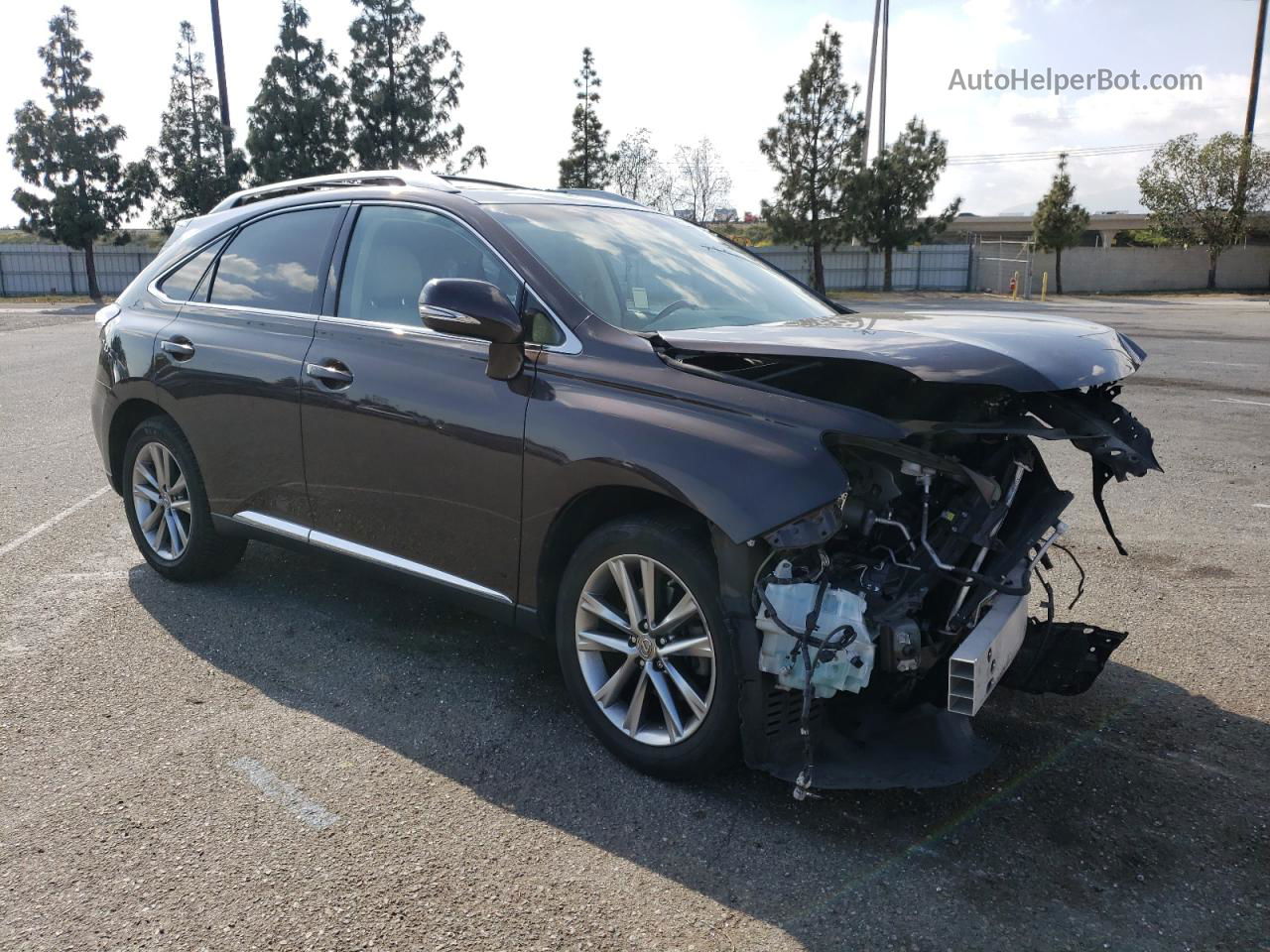 2015 Lexus Rx 350 Purple vin: JTJZK1BA9F2424431