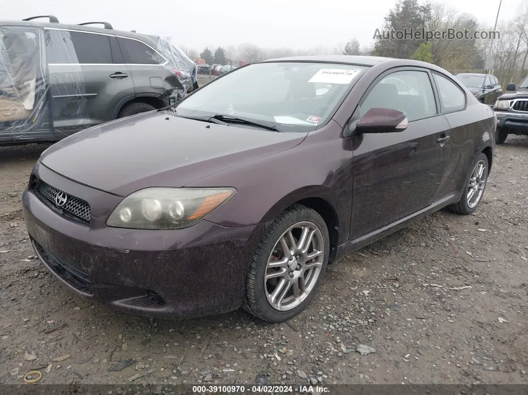 2008 Scion Tc   Purple vin: JTKDE167080238657