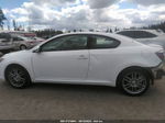 2008 Scion Tc   Белый vin: JTKDE167080274865