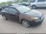 2008 Scion Tc   Purple vin: JTKDE167380233856