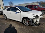 2008 Toyota Scion Tc  White vin: JTKDE167380247188