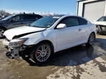 2008 Toyota Scion Tc  White vin: JTKDE167380247188