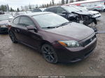 2008 Scion Tc   Maroon vin: JTKDE167380249197