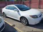 2008 Scion Tc   White vin: JTKDE167380270924