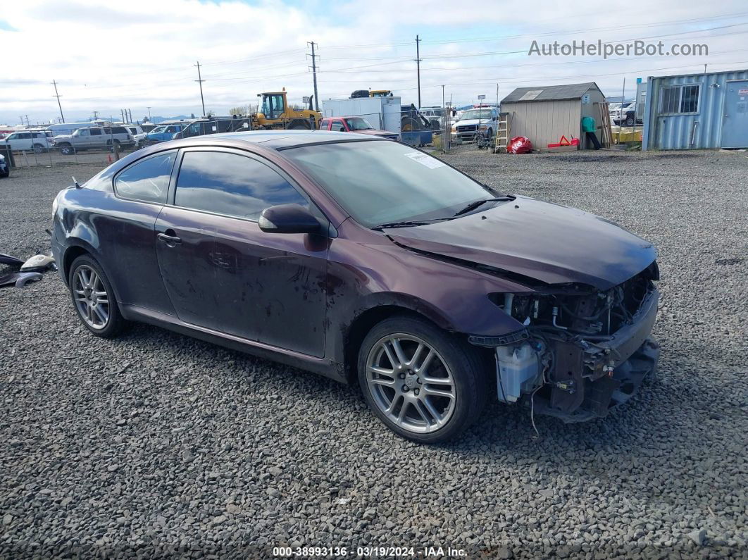 2008 Scion Tc   Purple vin: JTKDE167480223837