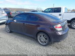 2008 Scion Tc   Фиолетовый vin: JTKDE167480223837