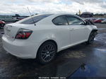 2008 Scion Tc   Белый vin: JTKDE167480226107