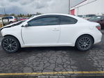 2008 Scion Tc   Белый vin: JTKDE167480226107