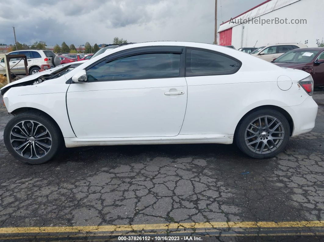 2008 Scion Tc   Белый vin: JTKDE167480226107