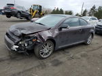 2008 Toyota Scion Tc  Purple vin: JTKDE167480226804