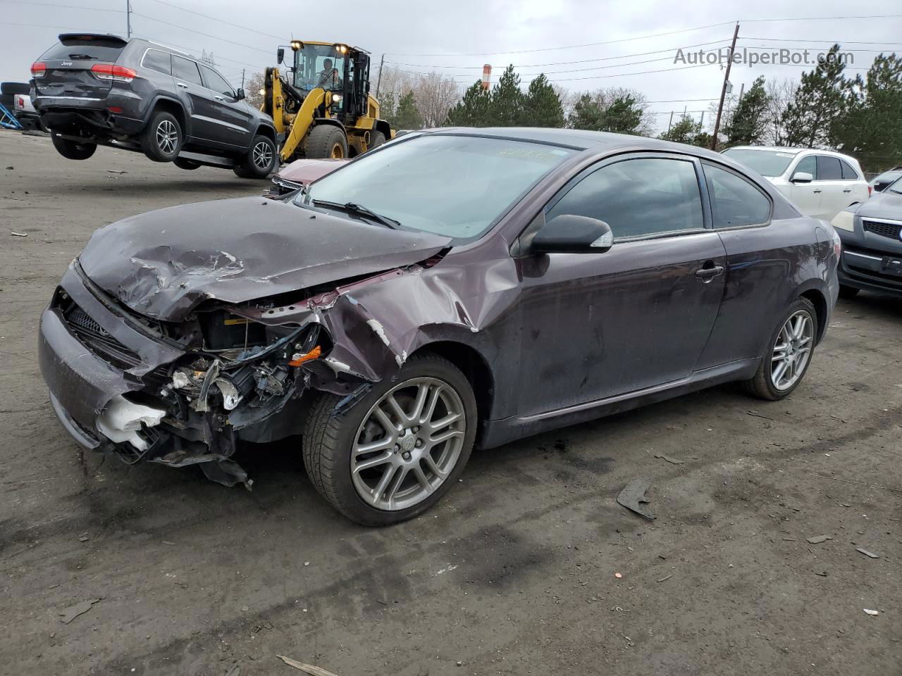 2008 Toyota Scion Tc  Purple vin: JTKDE167480226804