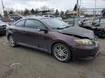 2008 Toyota Scion Tc  Purple vin: JTKDE167480226804