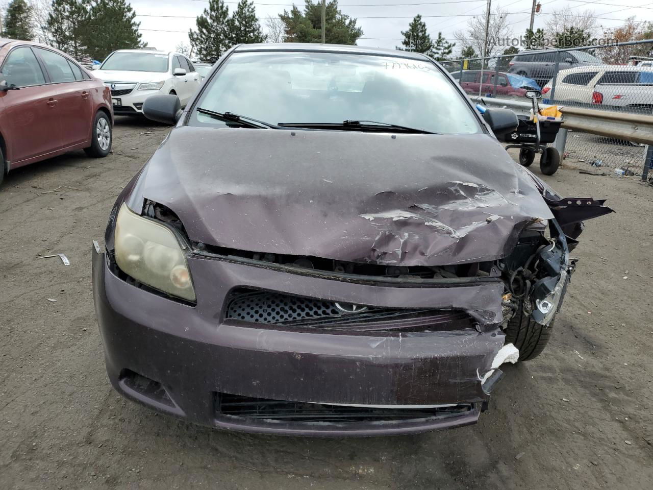 2008 Toyota Scion Tc  Purple vin: JTKDE167480226804