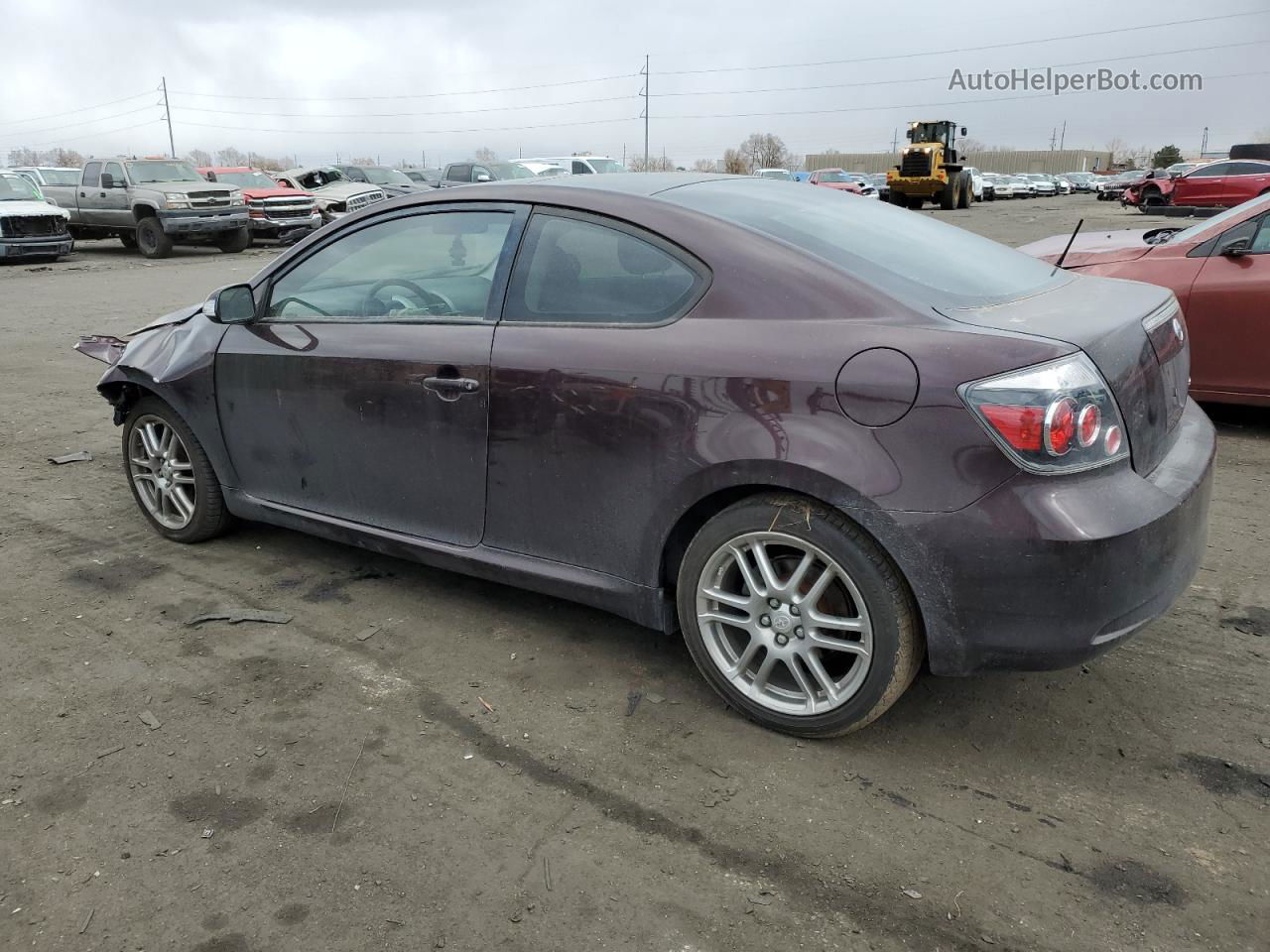 2008 Toyota Scion Tc  Purple vin: JTKDE167480226804