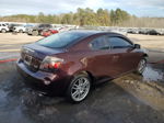 2008 Toyota Scion Tc  Burgundy vin: JTKDE167480231999