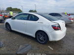 2008 Scion Tc   White vin: JTKDE167580238170