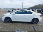 2008 Scion Tc   White vin: JTKDE167580238170