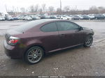 2008 Scion Tc   Purple vin: JTKDE167580241313