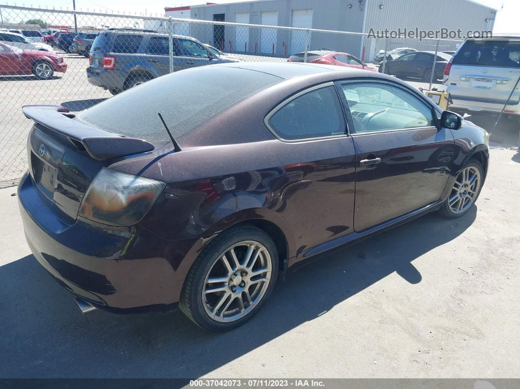 2008 Scion Tc   Фиолетовый vin: JTKDE167680248142