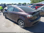 2008 Scion Tc   Фиолетовый vin: JTKDE167680248142