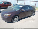 2008 Scion Tc   Фиолетовый vin: JTKDE167680248142