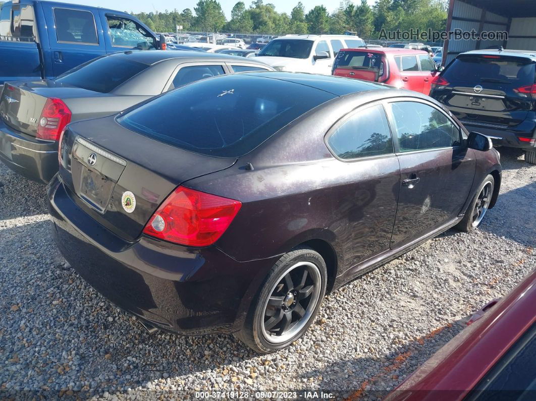 2008 Scion Tc   Purple vin: JTKDE167680257245