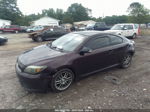 2008 Scion Tc   Purple vin: JTKDE167780241779