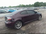 2008 Scion Tc   Purple vin: JTKDE167780241779