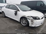 2008 Scion Tc   White vin: JTKDE167780244844