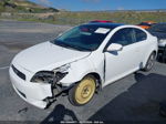 2008 Scion Tc   White vin: JTKDE167780257500