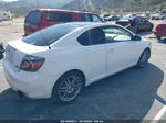 2008 Scion Tc   White vin: JTKDE167780257500