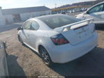 2008 Scion Tc Белый vin: JTKDE167880268120