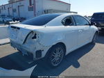 2008 Scion Tc   White vin: JTKDE167880269641