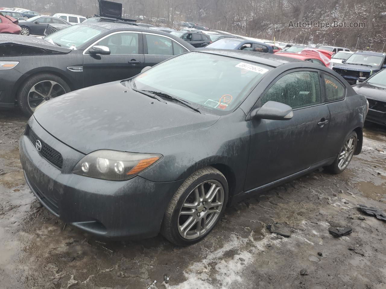 2008 Toyota Scion Tc  Gray vin: JTKDE167980229567