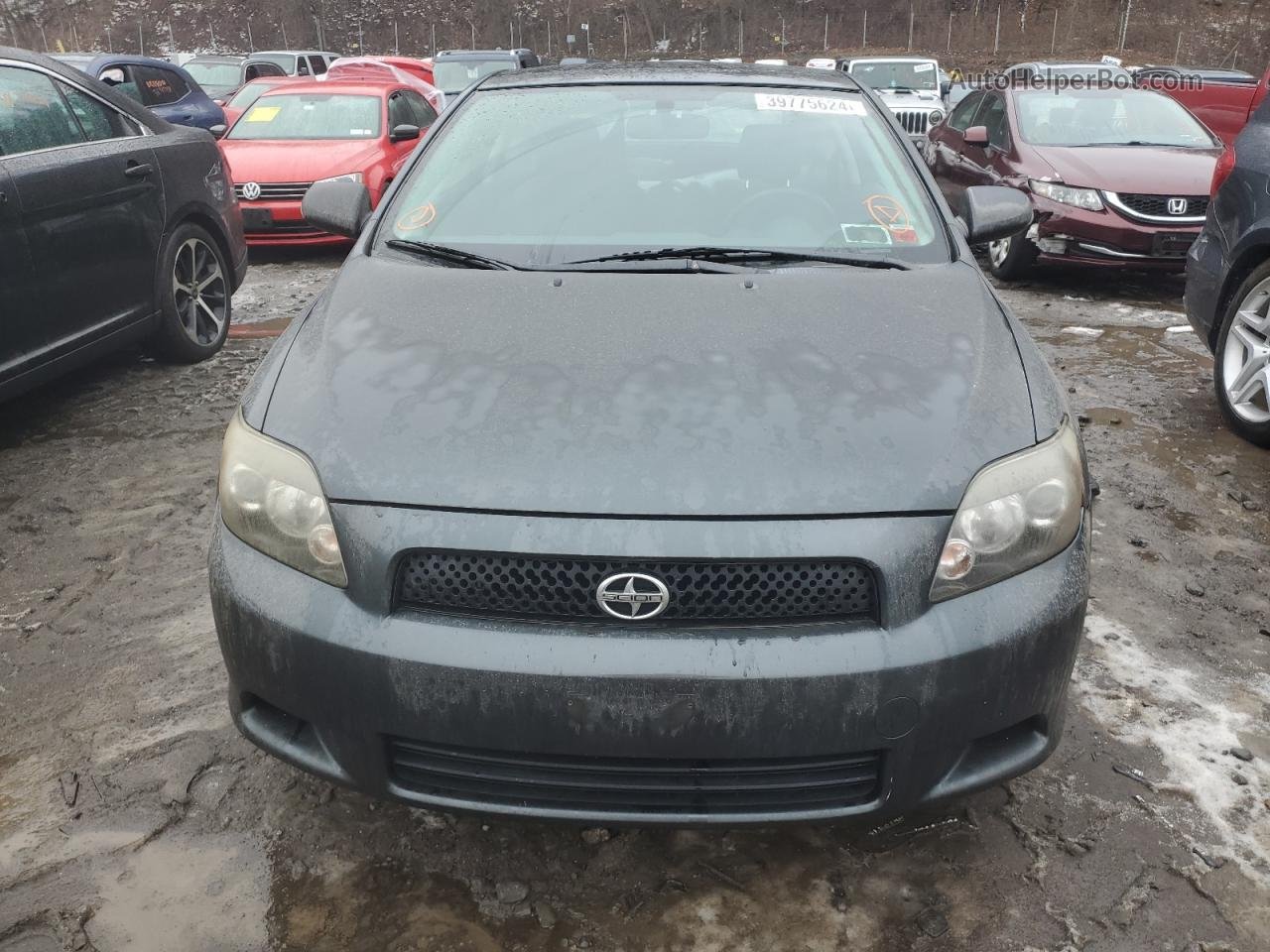 2008 Toyota Scion Tc  Gray vin: JTKDE167980229567