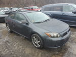 2008 Toyota Scion Tc  Gray vin: JTKDE167980229567