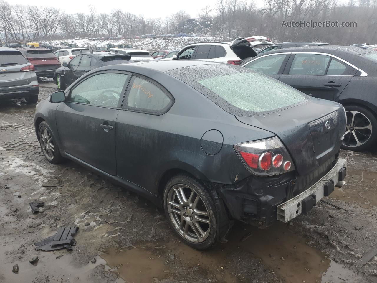 2008 Toyota Scion Tc  Gray vin: JTKDE167980229567