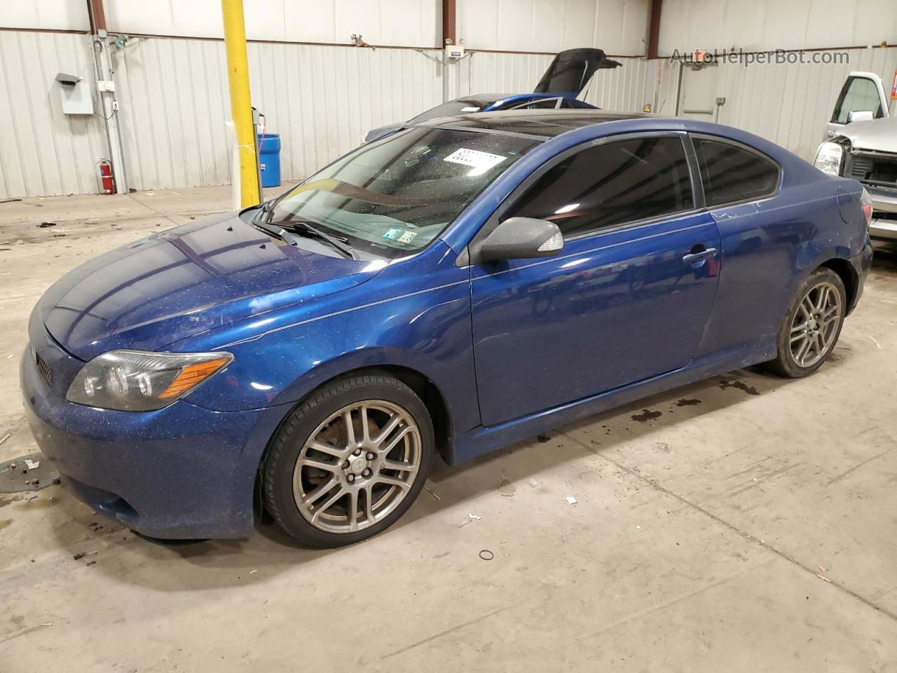 2008 Toyota Scion Tc  Blue vin: JTKDE167980265548