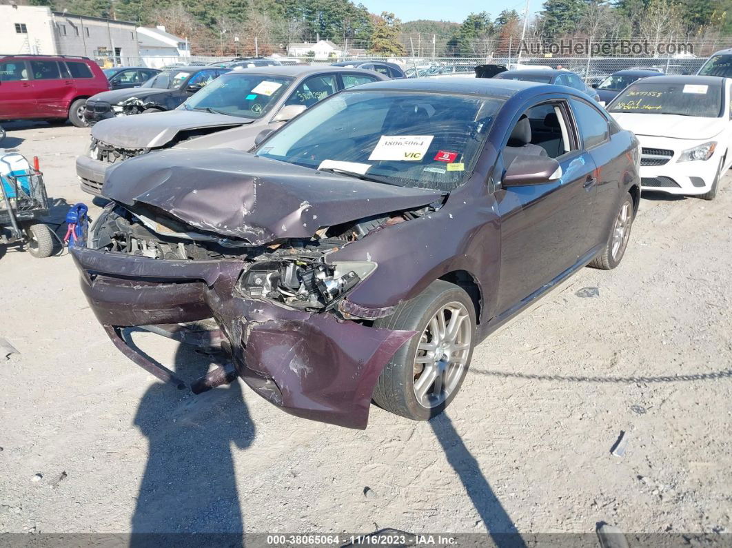 2008 Scion Tc Maroon vin: JTKDE167X80258253