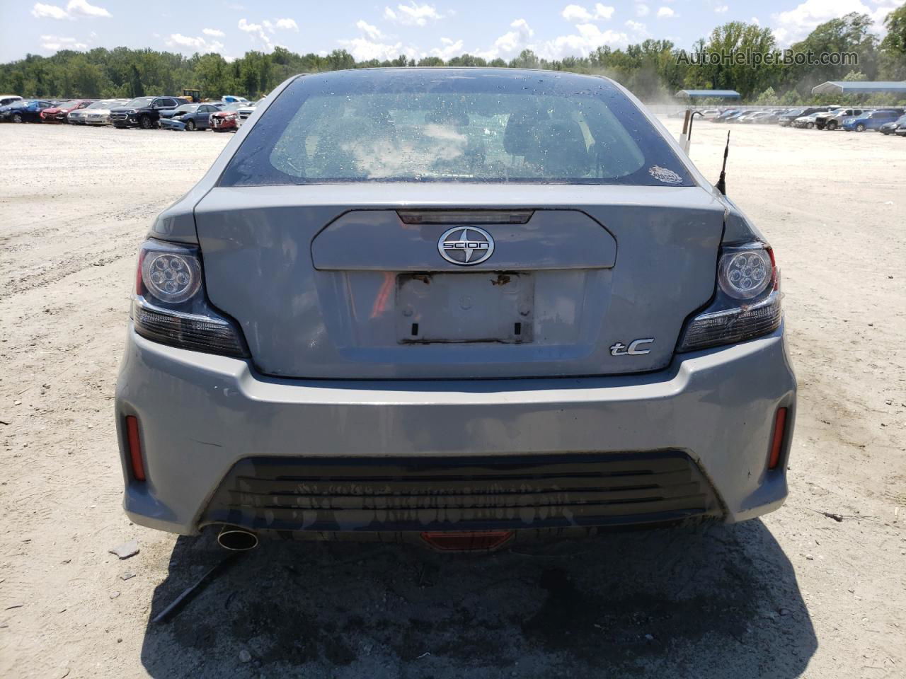 2015 Toyota Scion Tc  Gray vin: JTKJF5C73FJ011417