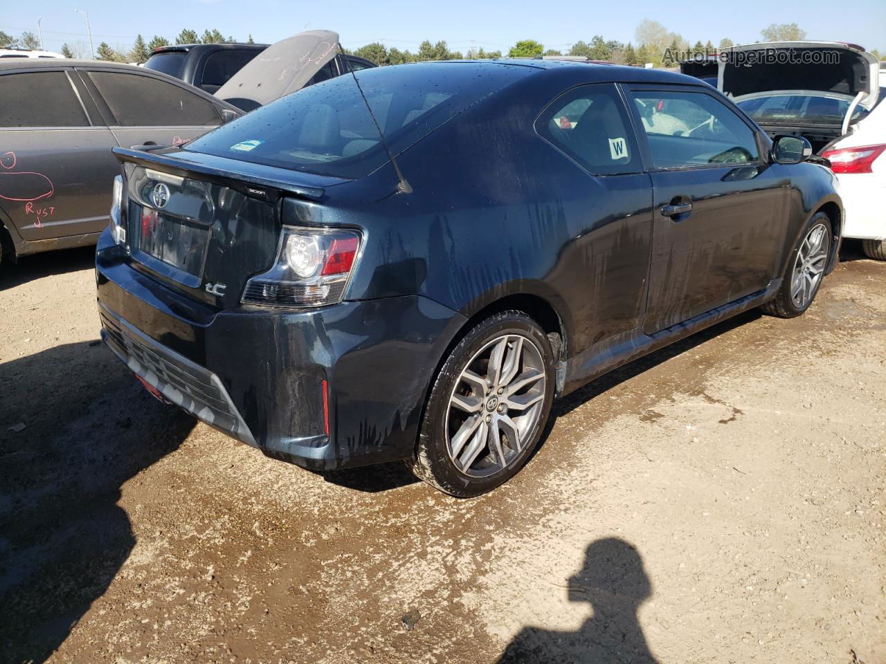 2015 Toyota Scion Tc  Синий vin: JTKJF5C74F3095476