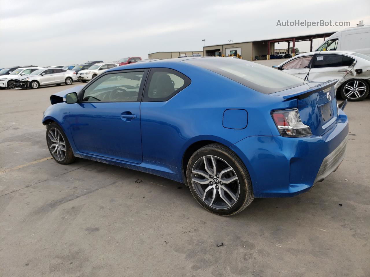 2015 Toyota Scion Tc  Синий vin: JTKJF5C75F3095650