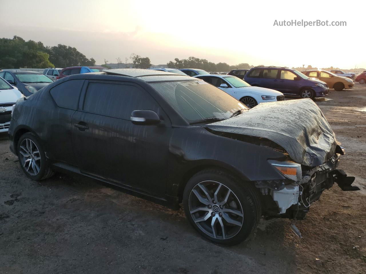 2015 Toyota Scion Tc  Black vin: JTKJF5C76FJ004042