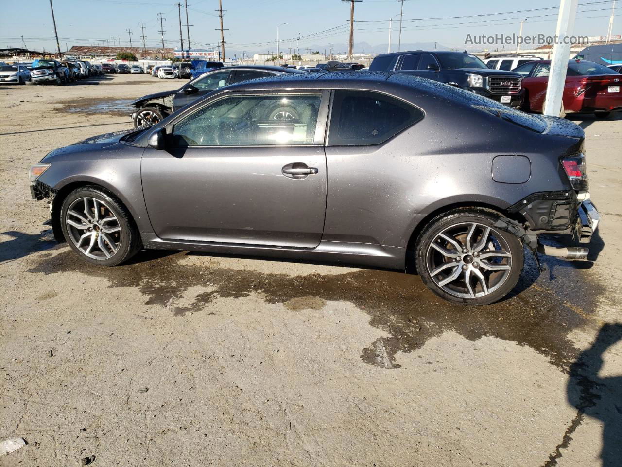 2015 Toyota Scion Tc  Gray vin: JTKJF5C78FJ005046