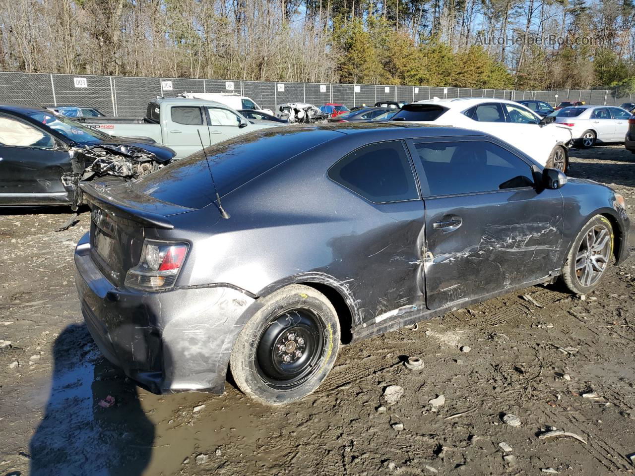 2015 Toyota Scion Tc  Gray vin: JTKJF5C79F3095411