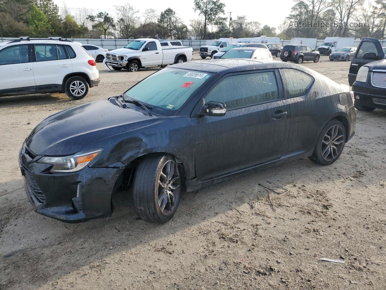 2015 Toyota Scion Tc  Blue vin: JTKJF5C79FJ006383