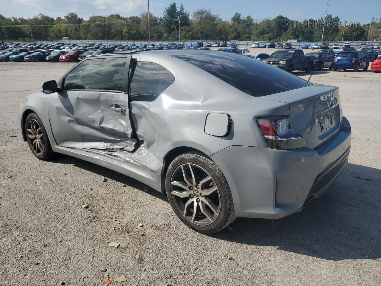 2015 Toyota Scion Tc  Gray vin: JTKJF5C79FJ013446